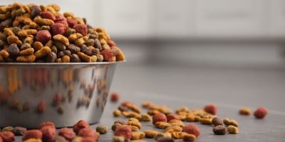 Lawsuit Alleges Beneful Is Deadly Dog Food